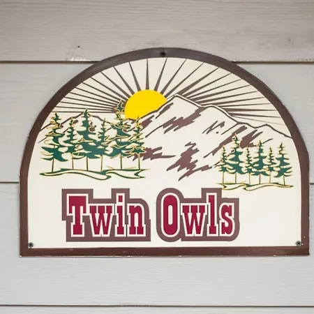 Twin Owls Lodge, Great For Families Master Bedroom, Loft, Full Kitchen, Dogs Ok Estes Park Exterior photo